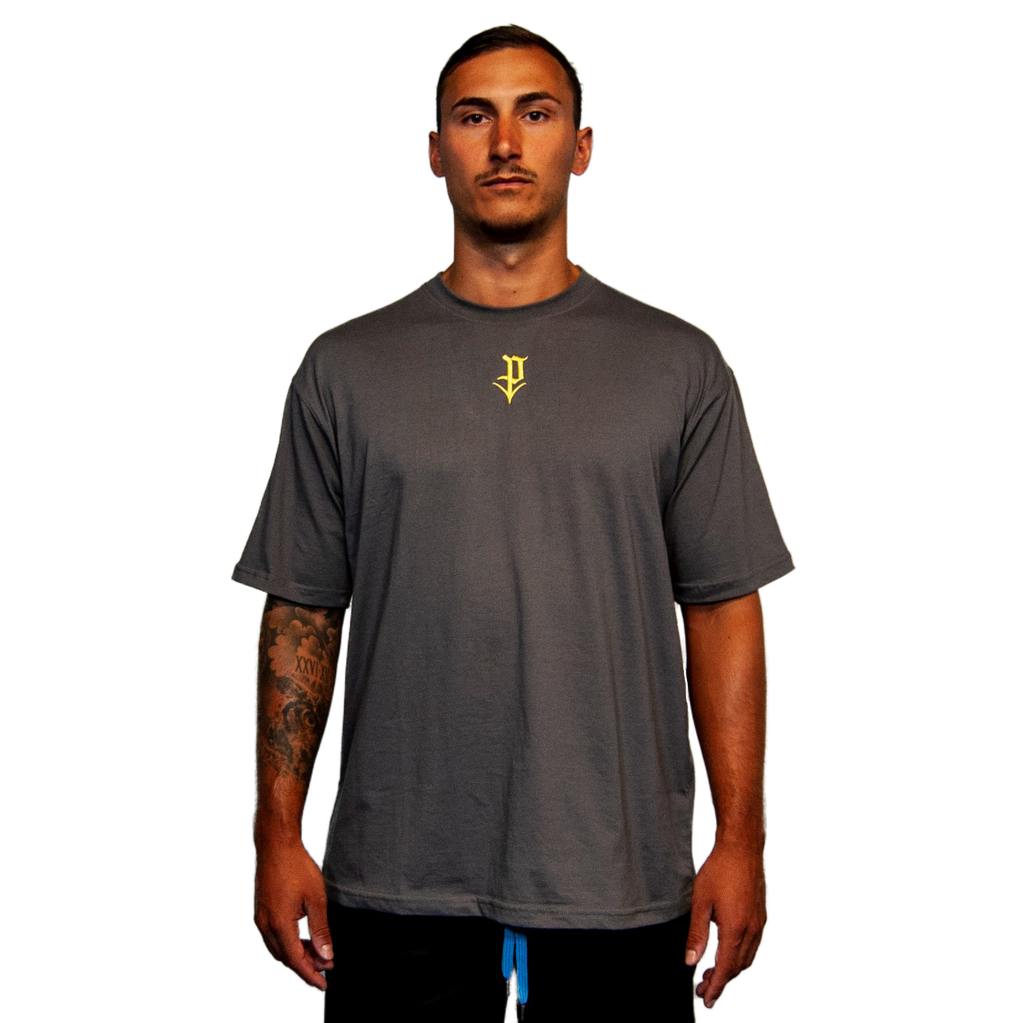 Oversized Tee The Stars Vintage Grey – “Opening Act”