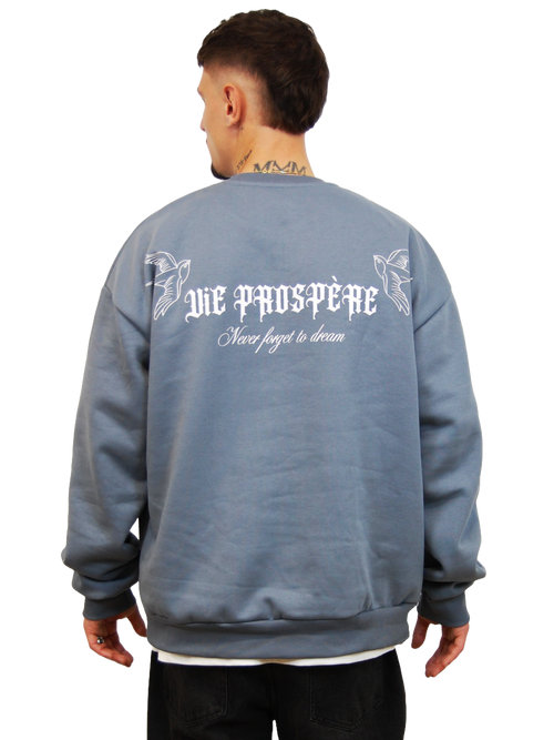 "DREAMS" OVERSIZED SWEATER IN DUSTY BLUE