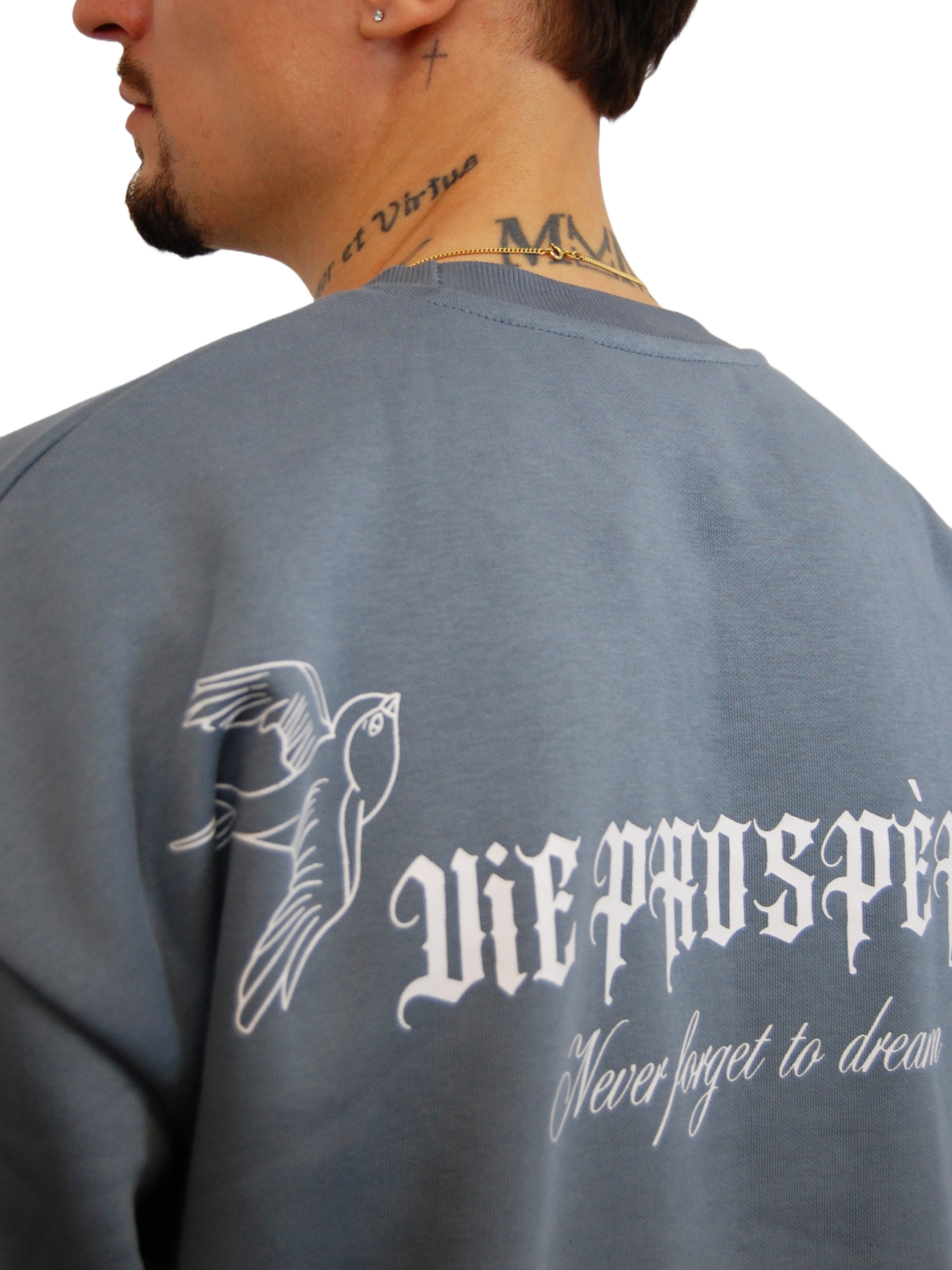 "DREAMS" OVERSIZED SWEATER IN DUSTY BLUE